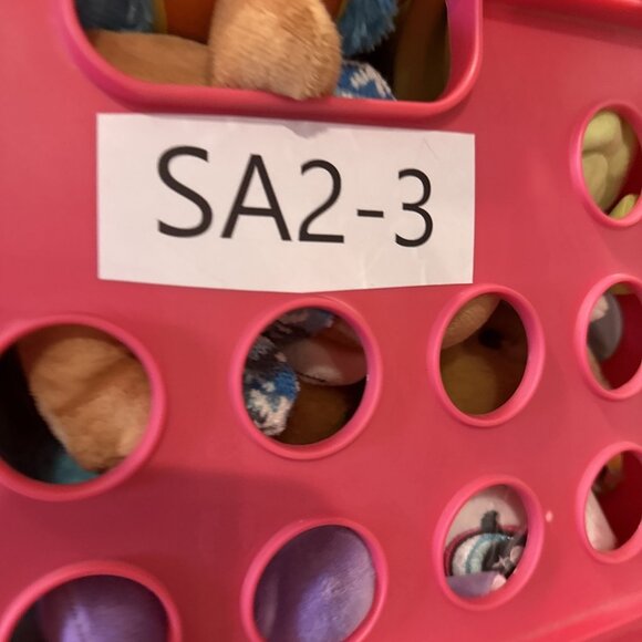 Halloween Bear in Witch costume - March of Dimes Bears O'Halloween # 3255 HTF - Picture 8 of 8